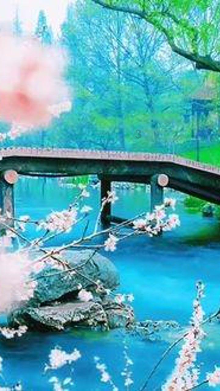 小汽车的太空梦